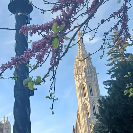 Palace2 アパート ブダペスト